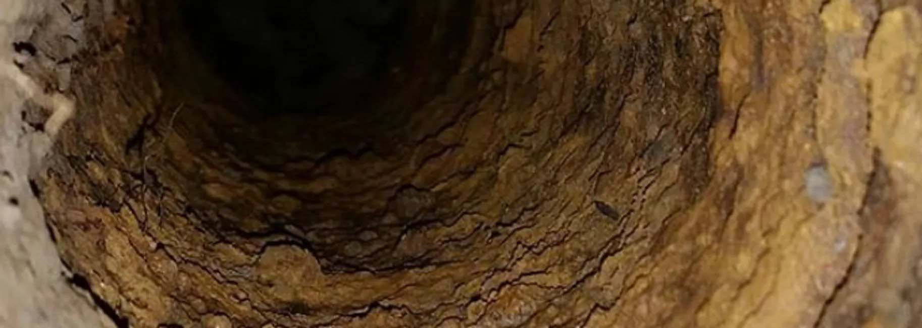 Trenchless Pipe Lining in Villanova, PA Trenchless Pipe Lining in Villanova, PA